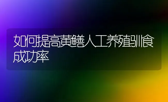 如何提高黄鳝人工养殖驯食成功率 | 养殖技术大全