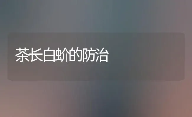 茶长白蚧的防治 | 养殖知识