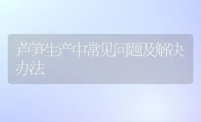 芦笋生产中常见问题及解决办法 | 养殖技术大全