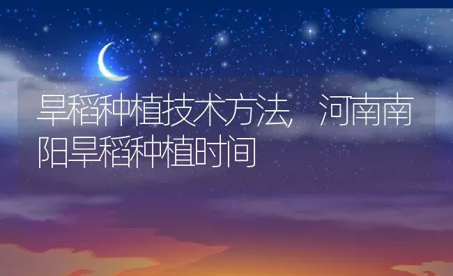 旱稻种植技术方法,河南南阳旱稻种植时间 | 养殖学堂