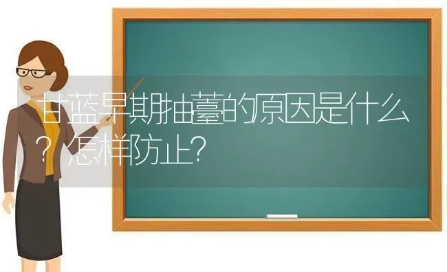 甘蓝早期抽薹的原因是什么?怎样防止? | 养殖技术大全