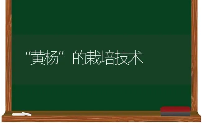“黄杨”的栽培技术 | 养殖知识