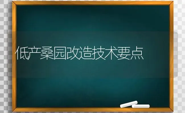 低产桑园改造技术要点 | 养殖知识