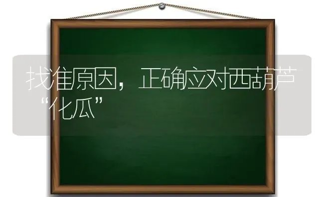 找准原因,正确应对西葫芦“化瓜” | 养殖知识