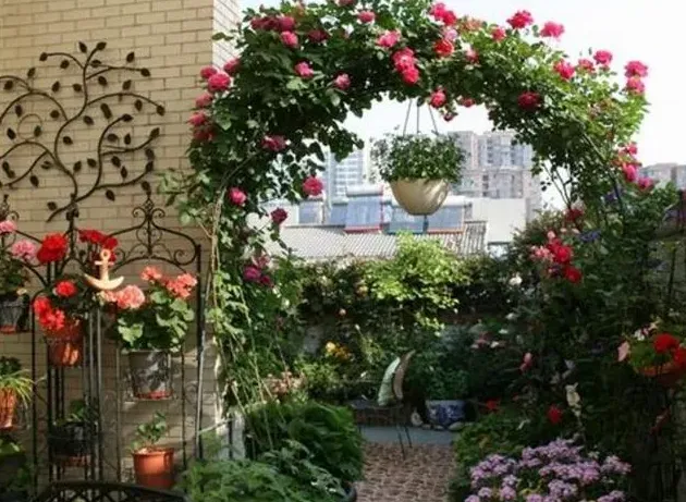 种月季盆为什么宜小不宜大,大家来说说，种大型月季用5加仑盆好还是控根盆好？