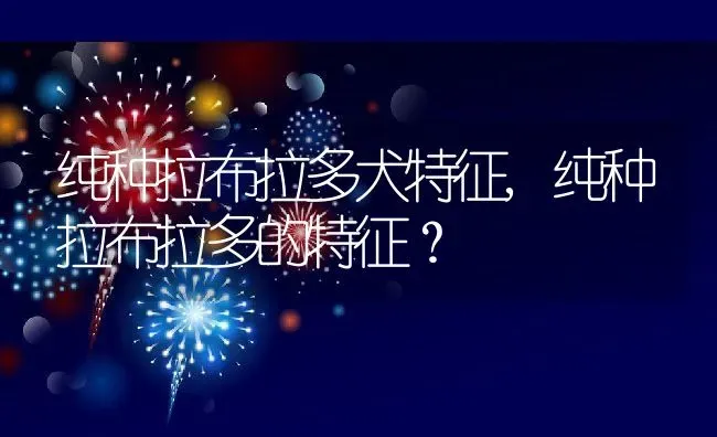 纯种拉布拉多犬特征,纯种拉布拉多的特征？ | 养殖学堂
