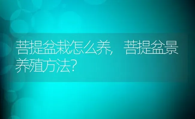 菩提盆栽怎么养,菩提盆景养殖方法？ | 养殖科普