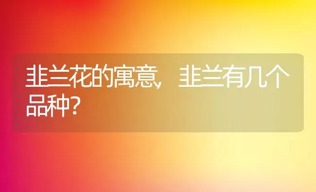 韭兰花的寓意,韭兰有几个品种？ | 养殖科普