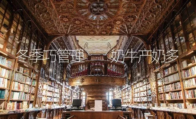 冬季巧管理  奶牛产奶多 | 养殖技术大全