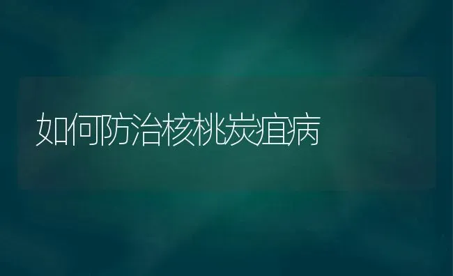 如何防治核桃炭疽病 | 养殖技术大全