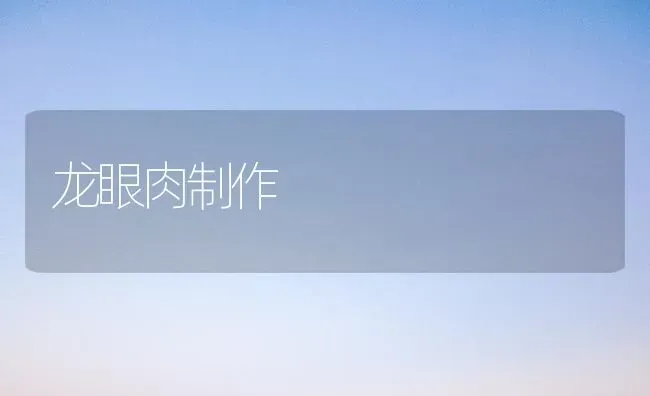 龙眼肉制作 | 养殖知识