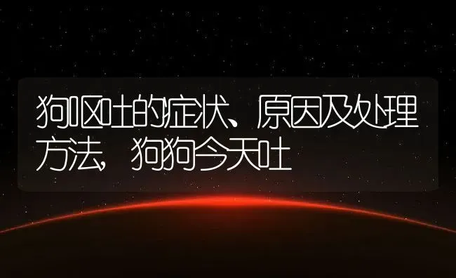 狗呕吐的症状、原因及处理方法,狗狗今天吐 | 养殖学堂