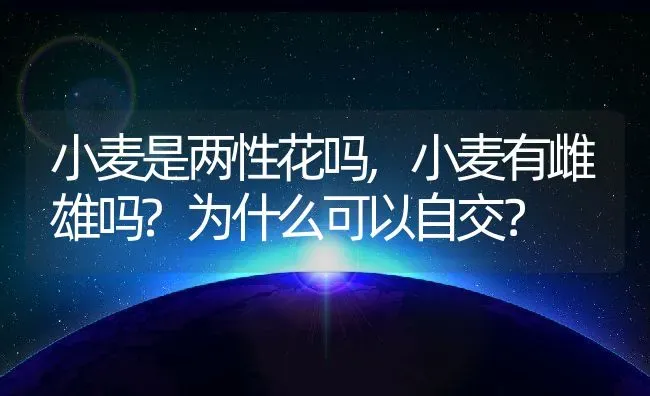 小麦是两性花吗,小麦有雌雄吗?为什么可以自交？ | 养殖科普