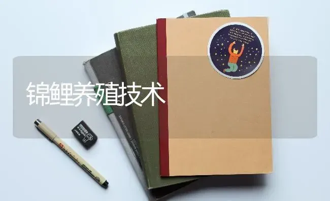 锦鲤养殖技术 | 养殖技术大全