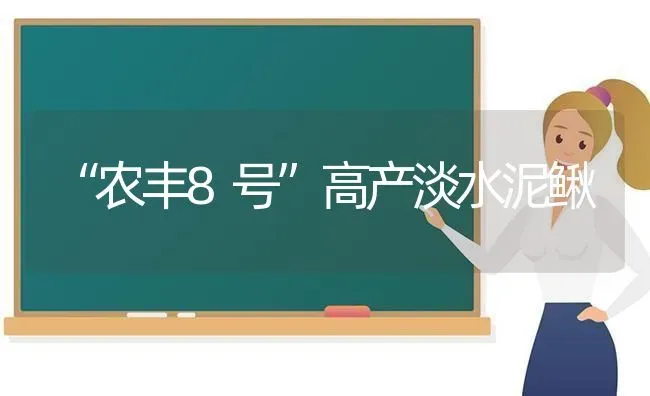 “农丰8号”高产淡水泥鳅 | 养殖知识