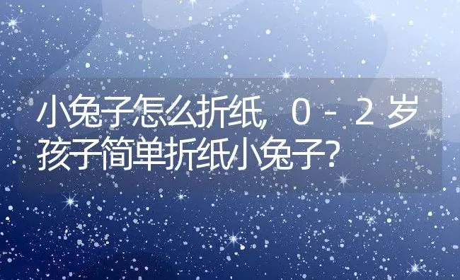 小兔子怎么折纸,0-2岁孩子简单折纸小兔子？ | 养殖学堂