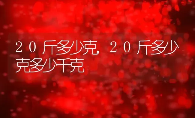 20斤多少克,20斤多少克多少千克 | 养殖资料