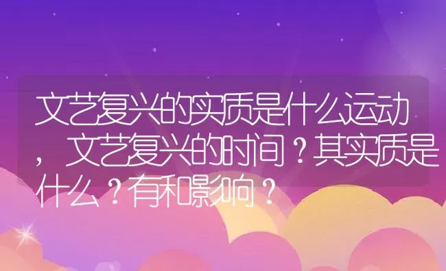 文艺复兴的实质是什么运动,文艺复兴的时间？其实质是什么？有和影响？ | 养殖科普