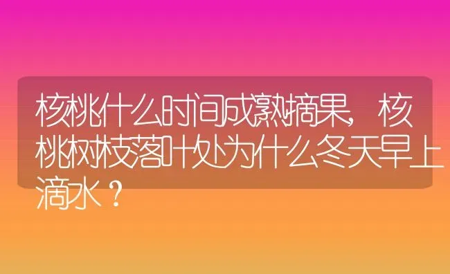 核桃什么时间成熟摘果,核桃树枝落叶处为什么冬天早上滴水？ | 养殖学堂