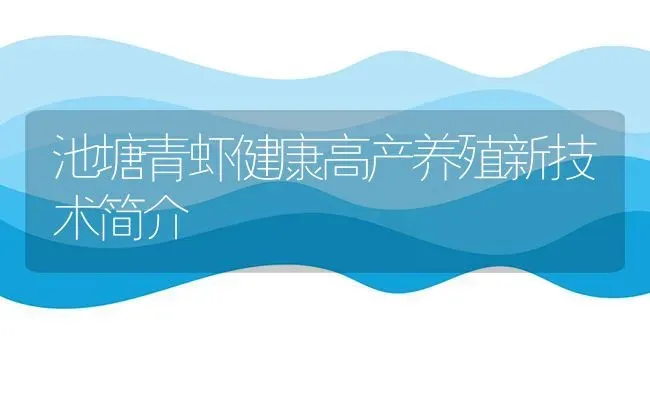 池塘青虾健康高产养殖新技术简介 | 养殖技术大全