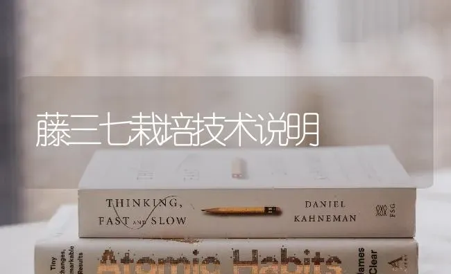 藤三七栽培技术说明 | 养殖技术大全