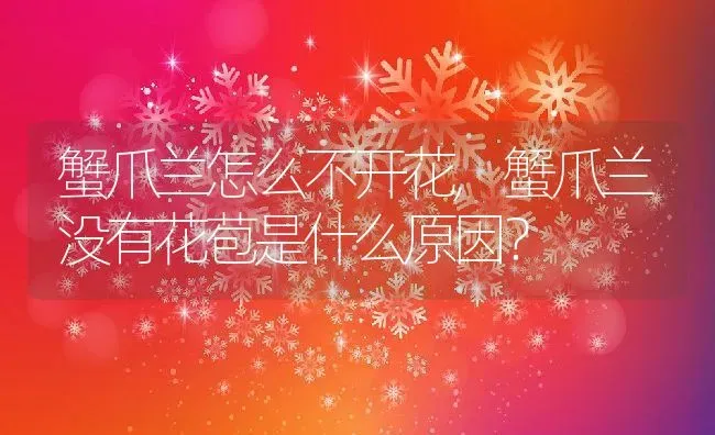 蟹爪兰怎么不开花,蟹爪兰没有花苞是什么原因？ | 养殖学堂