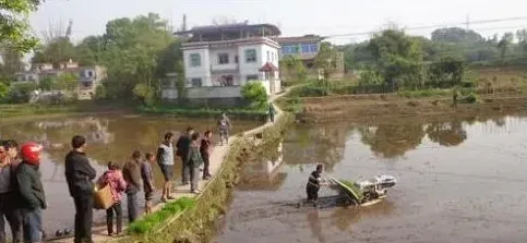 水稻插秧机的常见故障及排除法 | 农广天地