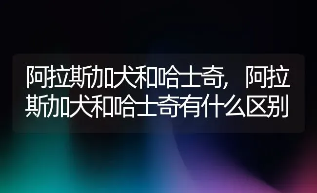 阿拉斯加犬和哈士奇,阿拉斯加犬和哈士奇有什么区别 | 养殖资料