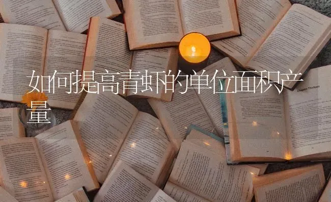 如何提高青虾的单位面积产量 | 养殖技术大全