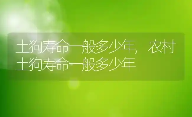 土狗寿命一般多少年,农村土狗寿命一般多少年 | 养殖科普