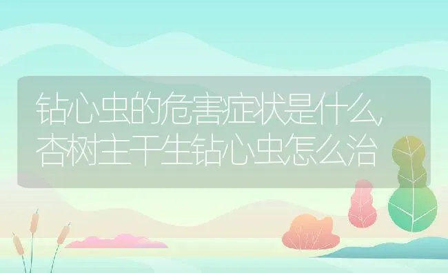 钻心虫的危害症状是什么,杏树主干生钻心虫怎么治 | 养殖学堂