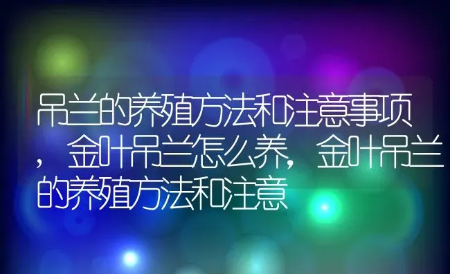 吊兰的养殖方法和注意事项,金叶吊兰怎么养，金叶吊兰的养殖方法和注意 | 养殖学堂