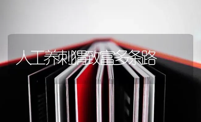 人工养刺猬致富多条路 | 养殖技术大全