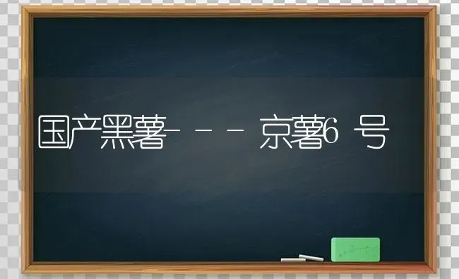 国产黑薯---京薯6号 | 养殖技术大全