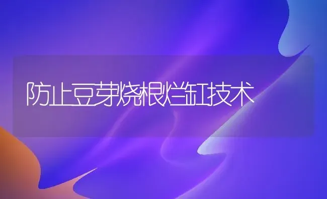 防止豆芽烧根烂缸技术 | 养殖知识