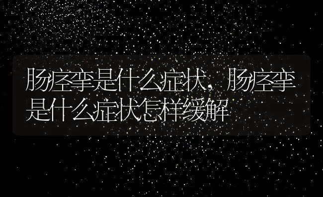 肠痉挛是什么症状,肠痉挛是什么症状怎样缓解 | 养殖科普