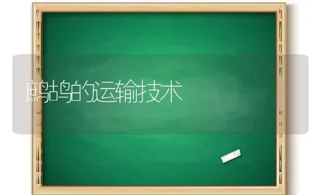 鹧鸪的运输技术 | 养殖技术大全