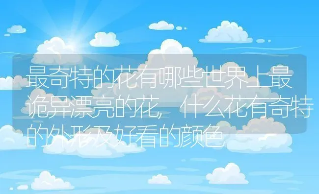 最奇特的花有哪些世界上最诡异漂亮的花,什么花有奇特的外形及好看的颜色 | 养殖学堂