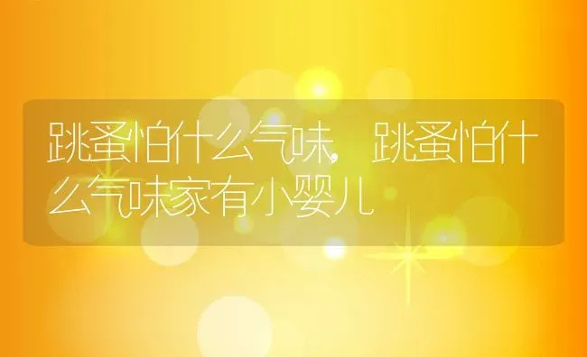 跳蚤怕什么气味,跳蚤怕什么气味家有小婴儿 | 养殖科普