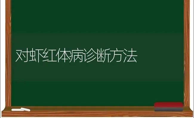 对虾红体病诊断方法 | 养殖技术大全