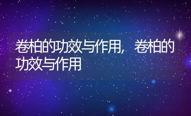 卷柏的功效与作用,卷柏的功效与作用 | 养殖科普