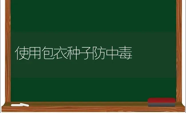 使用包衣种子防中毒 | 养殖技术大全