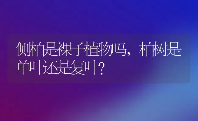 侧柏是裸子植物吗,柏树是单叶还是复叶？ | 养殖科普