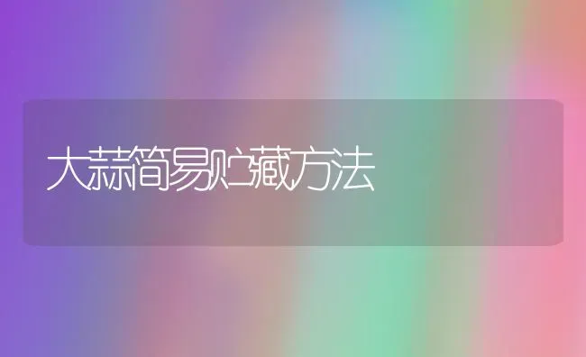 大蒜简易贮藏方法 | 养殖技术大全