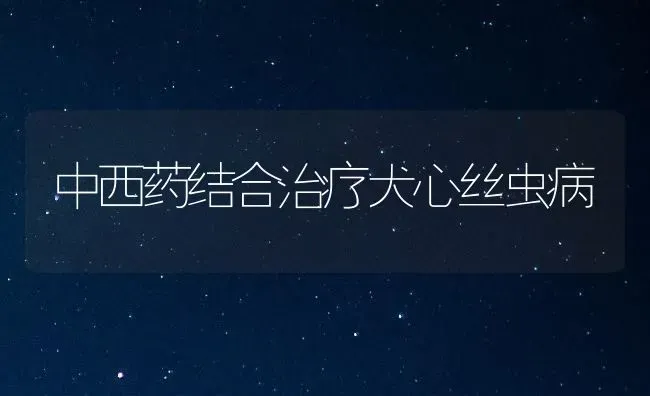 中西药结合治疗犬心丝虫病 | 养殖知识