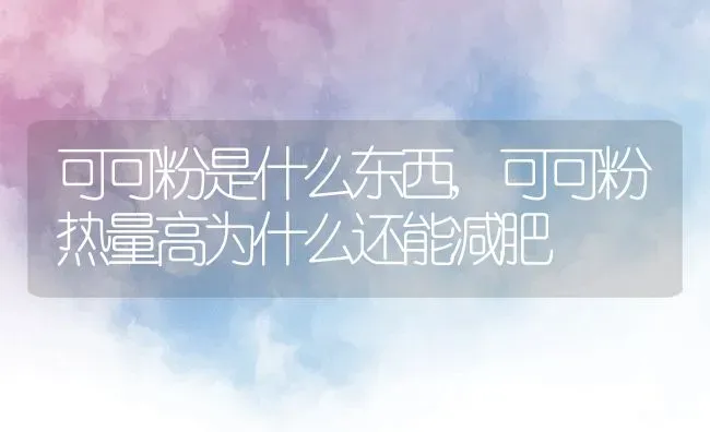 可可粉是什么东西,可可粉热量高为什么还能减肥 | 养殖资料