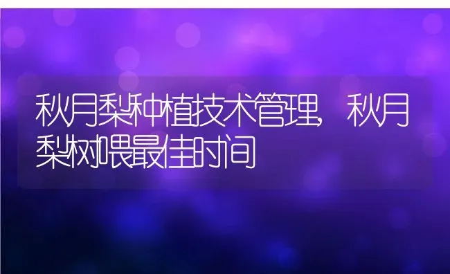 秋月梨种植技术管理,秋月梨树喂最佳时间 | 养殖学堂