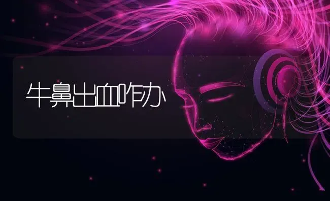 牛鼻出血咋办 | 养殖知识