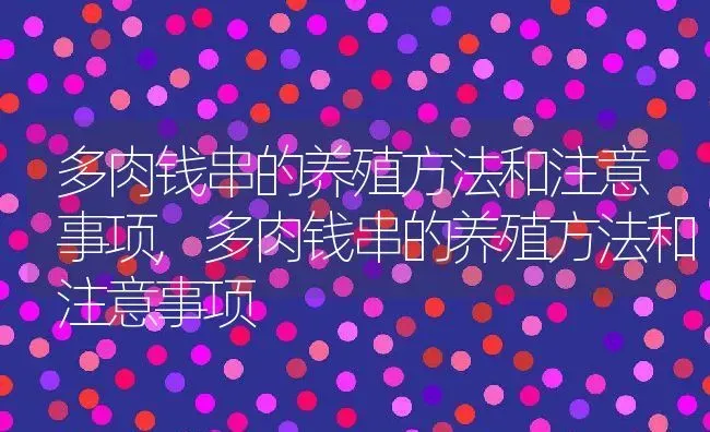 多肉钱串的养殖方法和注意事项,多肉钱串的养殖方法和注意事项 | 养殖科普