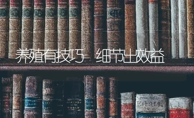 养殖有技巧 细节出效益 | 养殖技术大全